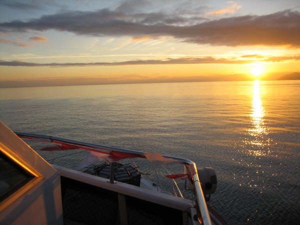 Sunset Harbour Cruise